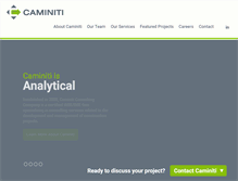 Tablet Screenshot of caminiticonsulting.com